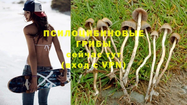 молекула духа Абдулино
