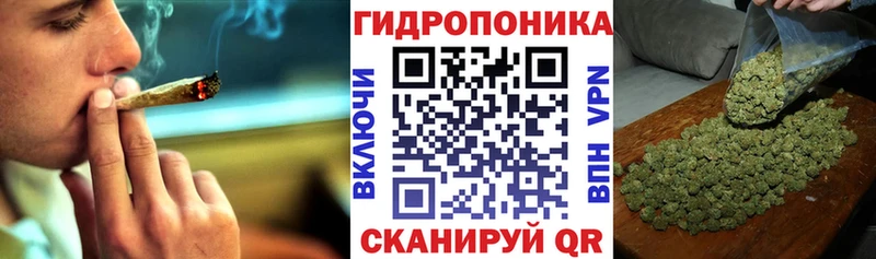 Марихуана планчик  Лодейное Поле 